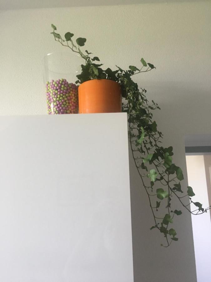 Apartment At Harmonie Trebon